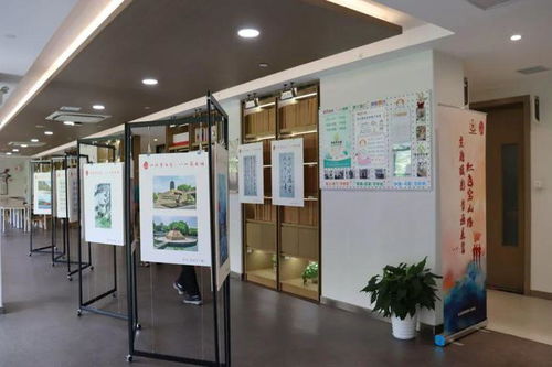 心懷青云志，八一薪火傳——寶山路街道開展慶“八一”主題教育活動