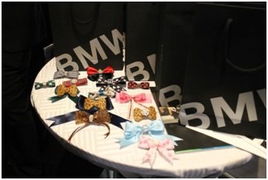 京順寶BMW 3系麗人節(jié)主題活動(dòng)圓滿落幕，以“悅己”之姿，馭風(fēng)而行