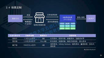 2017年中國保險科技投融資報告 科技中介服務的崛起與重塑